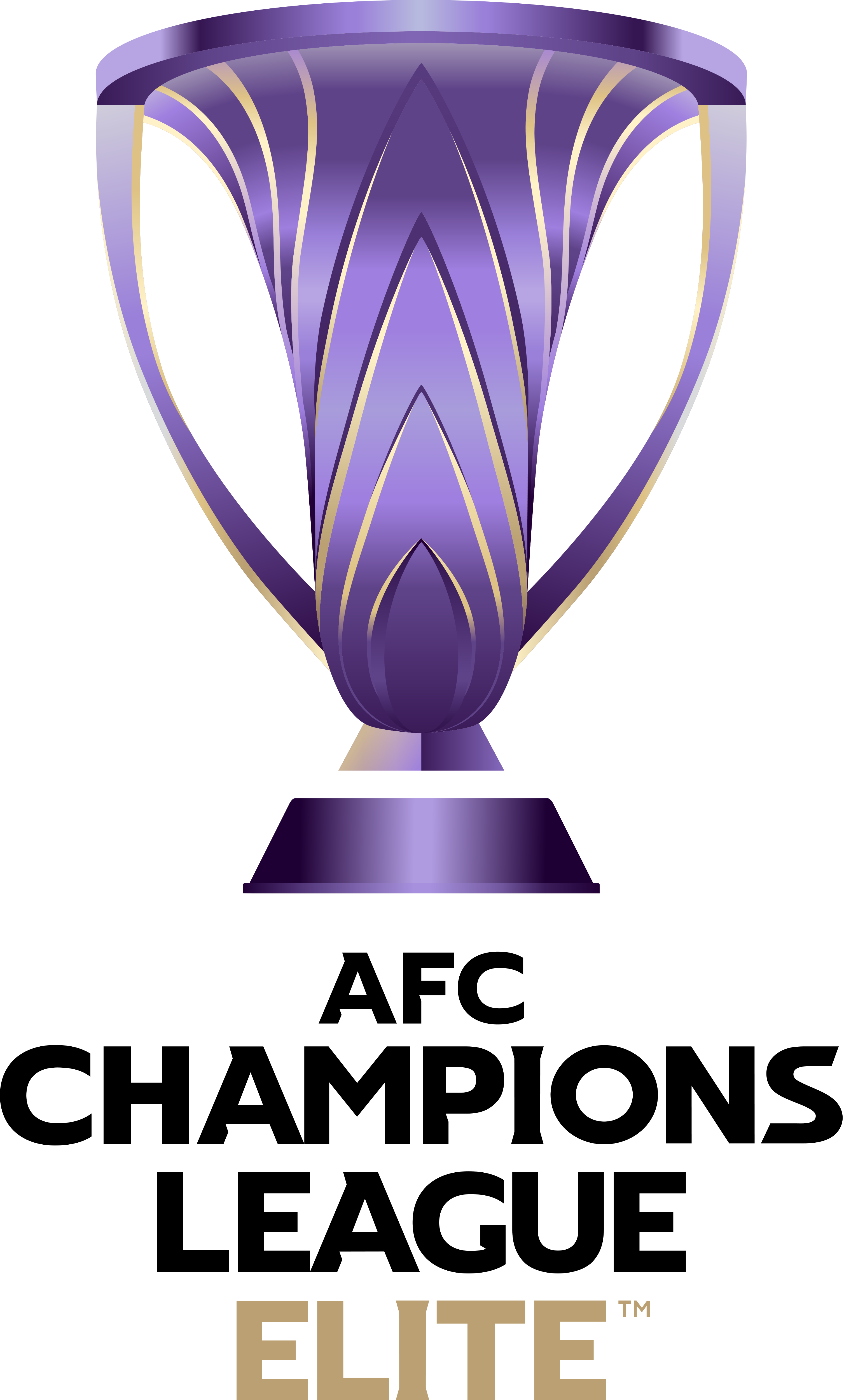 亚洲联赛冠军呼之欲出，实力强悍的简单介绍