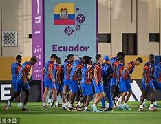 厄瓜多尔队崭露头角，追赶前方