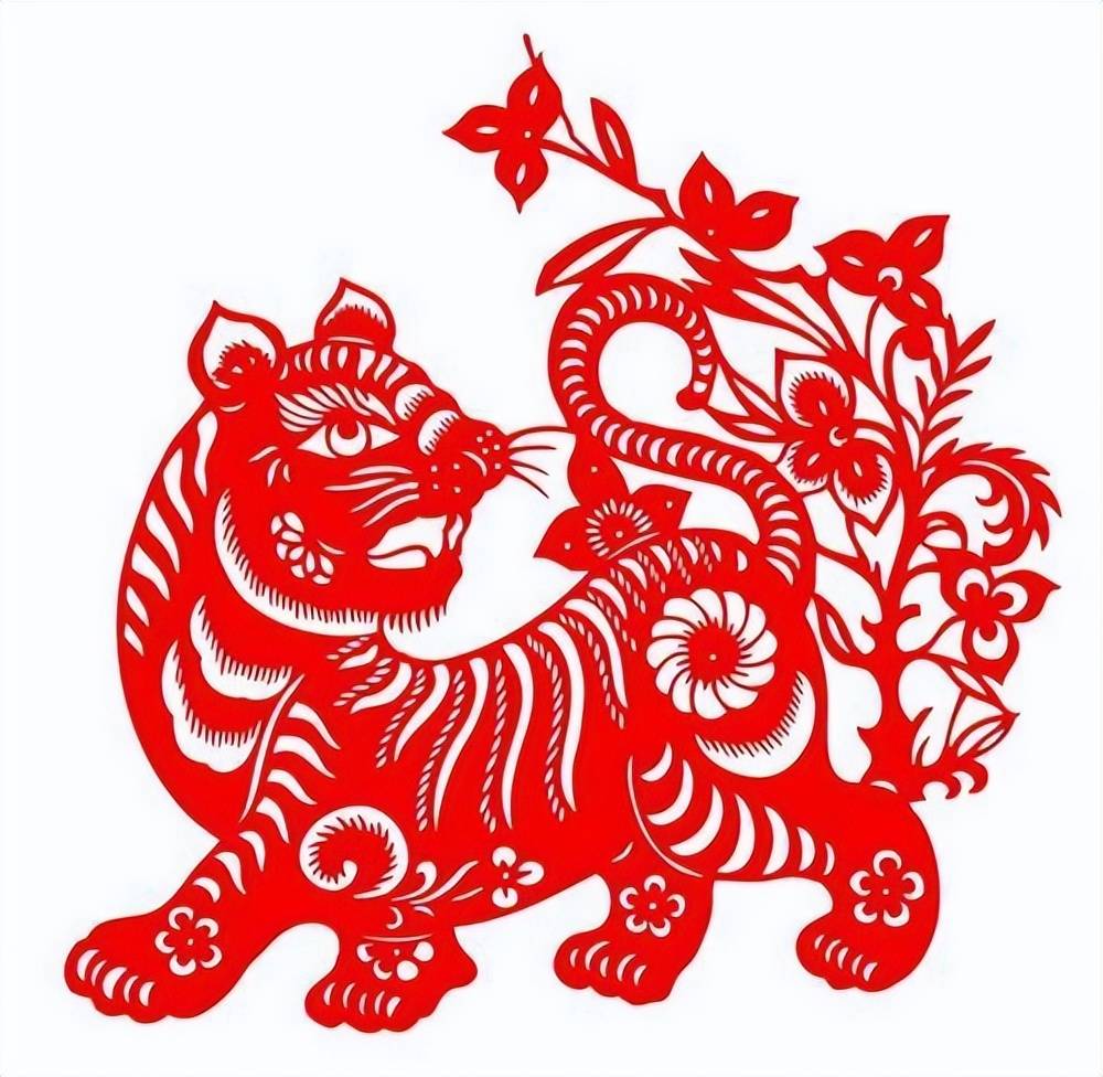 太原卡丹虎困境堪忧，联赛越战越危